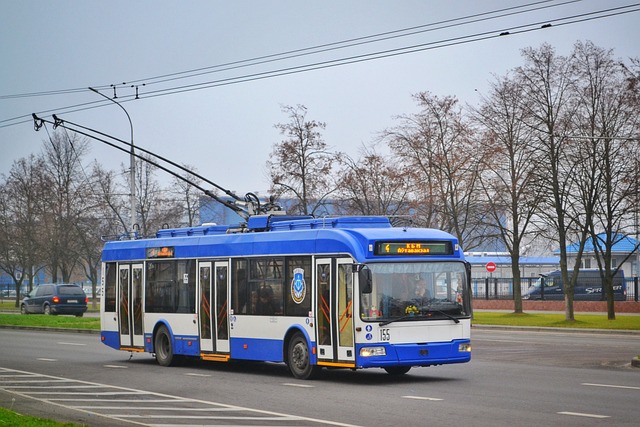 oto elektrik aydın oto elektrik aydın