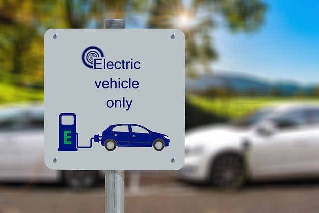 oto elektrik ordu oto elektrik ordu