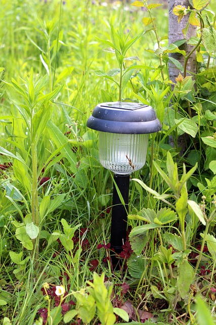 oto elektrik parçacısı oto elektrik parçacısı