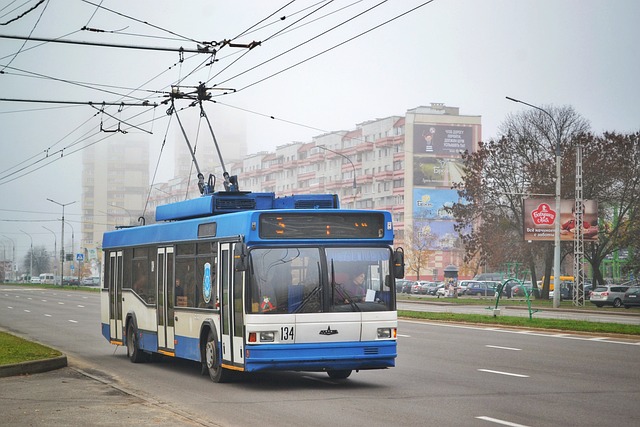 oto elektrik ustası maaşı oto elektrik ustası maaşı