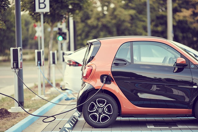 sistem oto elektronik aydın sistem oto elektronik aydın