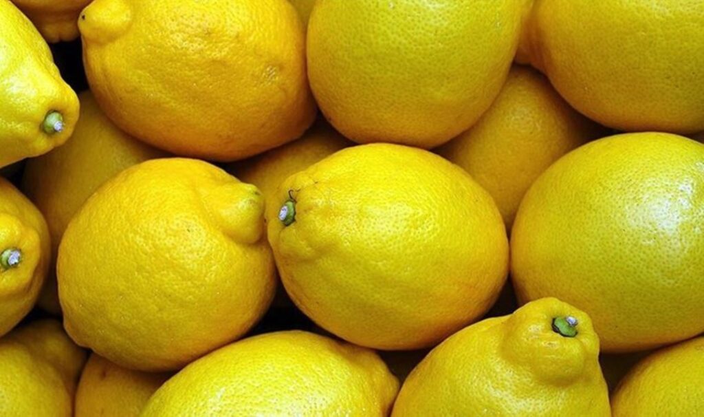 kuru incirde aflatoksin limonda pestisit susamda salmonella yeni yilin ilk 3 gununde 4 urun 6UFSc1yg