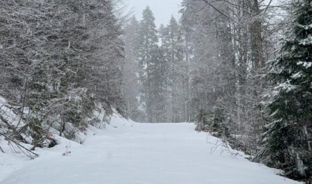 meteoroloji uyarmisti duzcenin yuksek kesimlerinde kar etkili oluyor bxDGVIXt