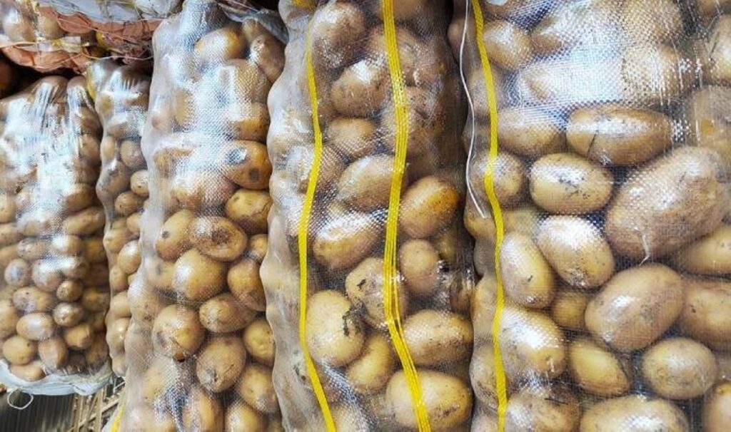 Bitki hastalığı tespit edilen patateslerin Mersin'de imhası sürüyor 7 bitki hastaligi tespit edilen patateslerin mersinde imhasi suruyor Zn76mlhw