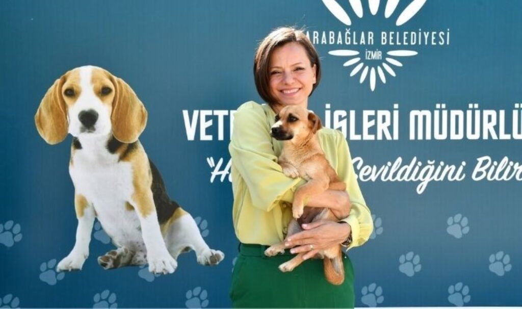 Karabağlar Belediyesi sokak hayvanlarına sahip çıkıyor 8 karabaglar belediyesi sokak hayvanlarina sahip cikiyor 6JlJq8sG