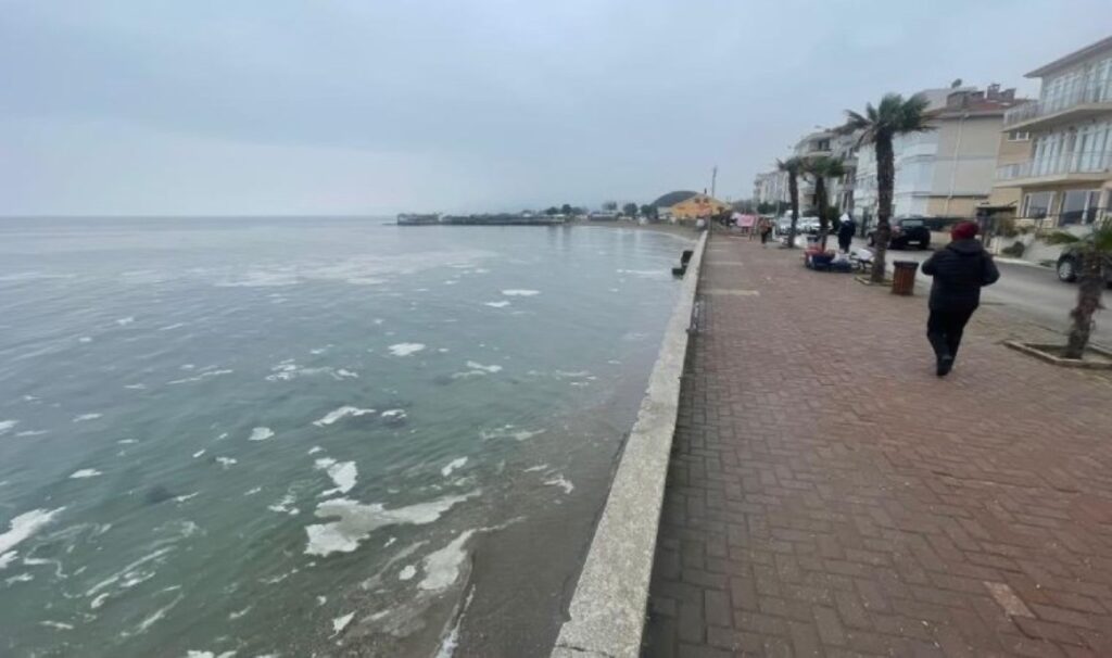 Marmara'da 'müsilaj' alarmı: Deniz tabakayla kaplandı! 5 marmarada musilaj alarmi deniz tabakayla kaplandi JuLLLt89