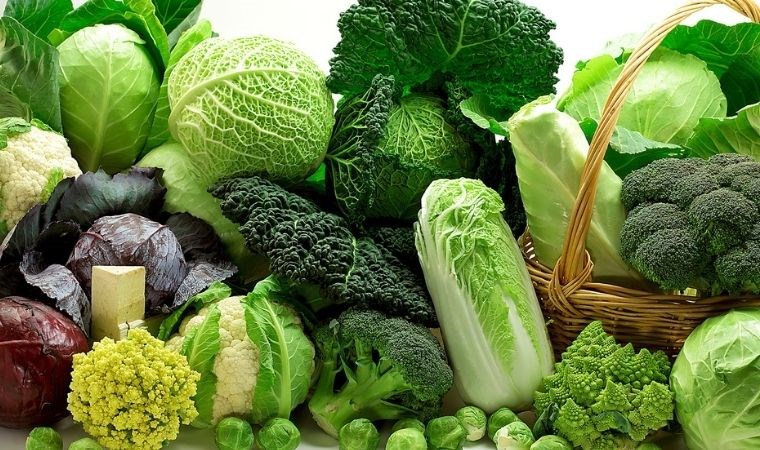 vucudunuzun ihtiyac duydugu vitaminleri iyi bir sekilde alin sebzelerin besin degerlerini artirmanin 8 yolu 8juW6qSr