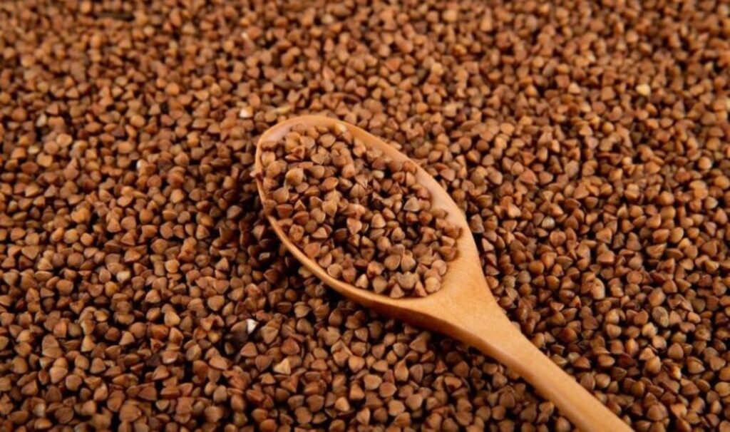 Yalancı tahıl olarak adlandırılıyor, gluten içermiyor: Zengin besin içeriğiyle öne çıkan mucize gıda 4 yalanci tahil olarak adlandiriliyor gluten icermiyor zengin besin icerigiyle one cikan mucize gida Zlzhsh2g