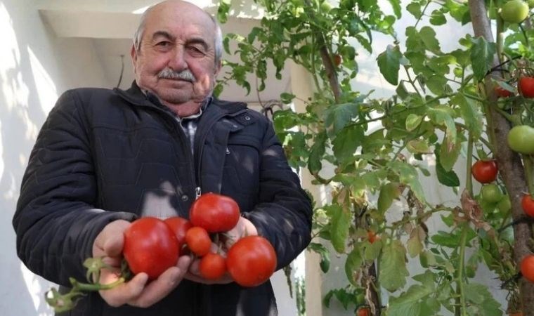 evinin terasinda 4 mevsim hasat yapiyor yagmur suyu kullaniyor 0 7cVsg4N3