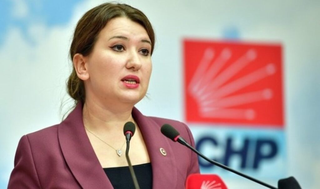 chpli gokce gokcen bakanlik haric herkes cezalandirilabilir hatta yangini sondurenler bile VU4BS33f