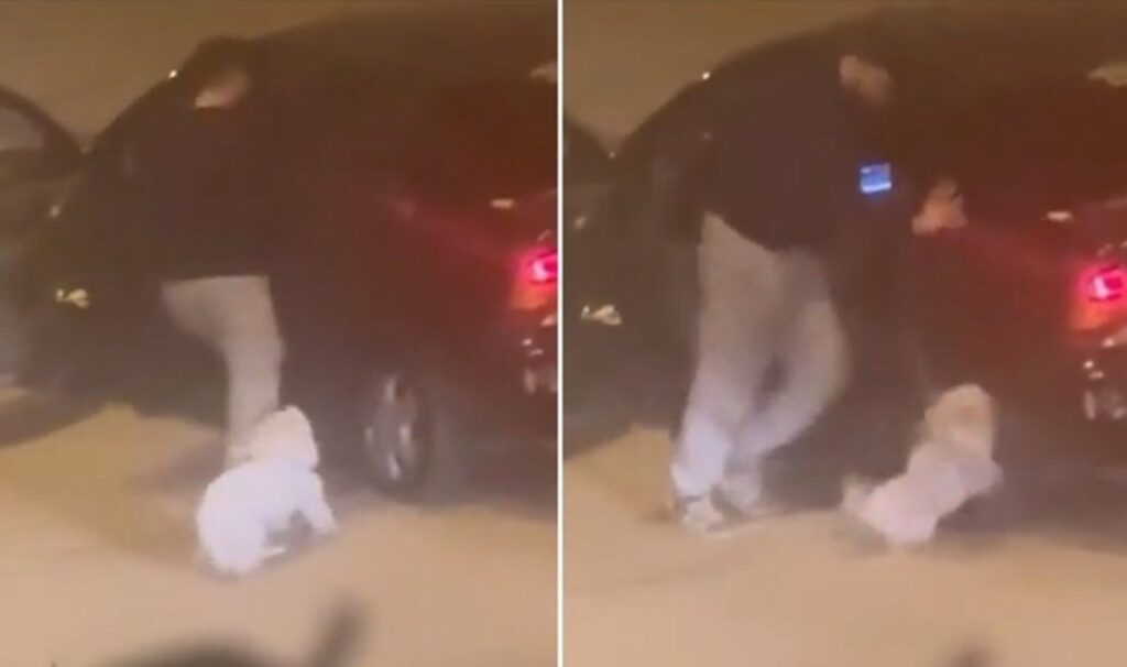 dehset anlari kamerada zorla aracina bindirmeye calisti hem kadina hem kopegine saldirdi gZbsezv3