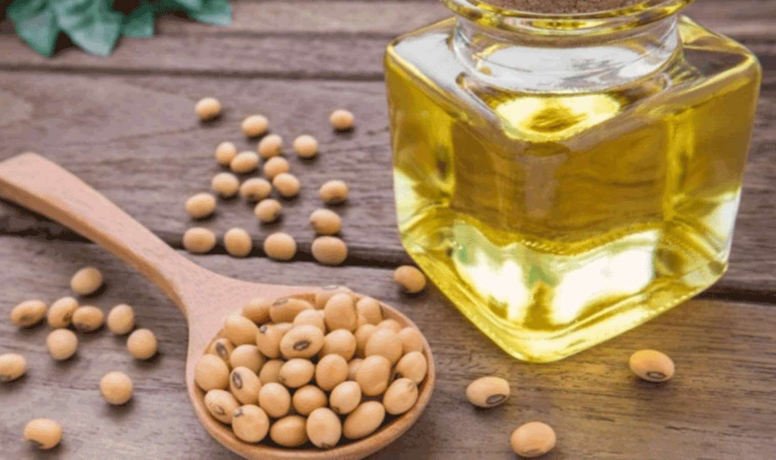 Eksikliği hastalıklara sebep oluyor, ölümcül olabiliyor: K vitamini deposu 6 besin 6 eksikligi hastaliklara sebep oluyor olumcul olabiliyor k vitamini deposu 6 besin 5