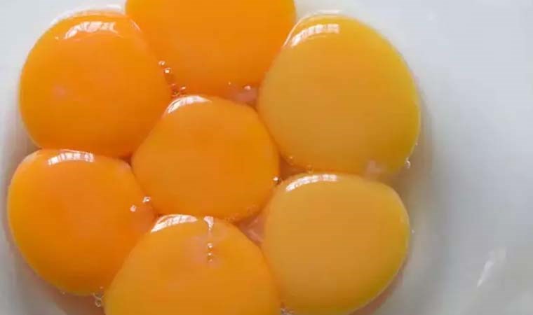 Eksikliği hastalıklara sebep oluyor, ölümcül olabiliyor: K vitamini deposu 6 besin 7 eksikligi hastaliklara sebep oluyor olumcul olabiliyor k vitamini deposu 6 besin 6 zlupZUCB