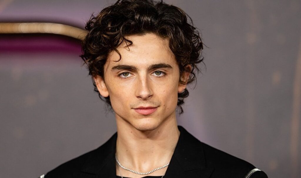 İki kez Oscar'a aday gösterilen en genç oyunculardan biri: Timothée Chalamet ilklere imza atıyor 10 iki kez oscara aday gosterilen en genc oyunculardan biri timoth e chalamet ilklere imza atiyor mOvuz3tS