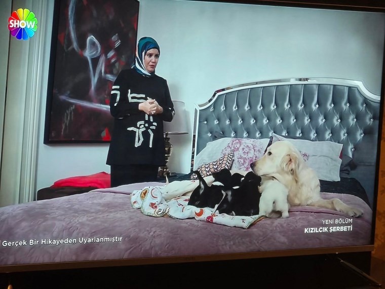 kizilcik serbetindeki o sahne gundem oldu saglik bakanligindan uyari 0 WUKvynLC