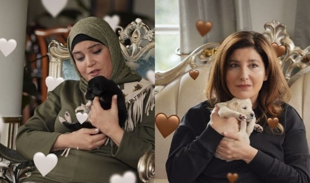 Kızılcık Şerbeti'ndeki o sahne gündem oldu: Sağlık Bakanlığı'ndan uyarı! 2 kizilcik serbetindeki o sahne gundem oldu saglik bakanligindan uyari pU9gP5B4