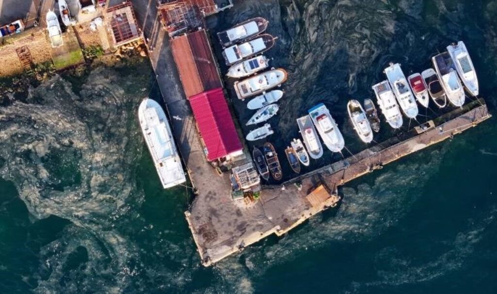 Marmara Denizi'nde müsilaj yeniden görüldü 9 marmara denizinde musilaj yeniden goruldu M1ZA4eAg