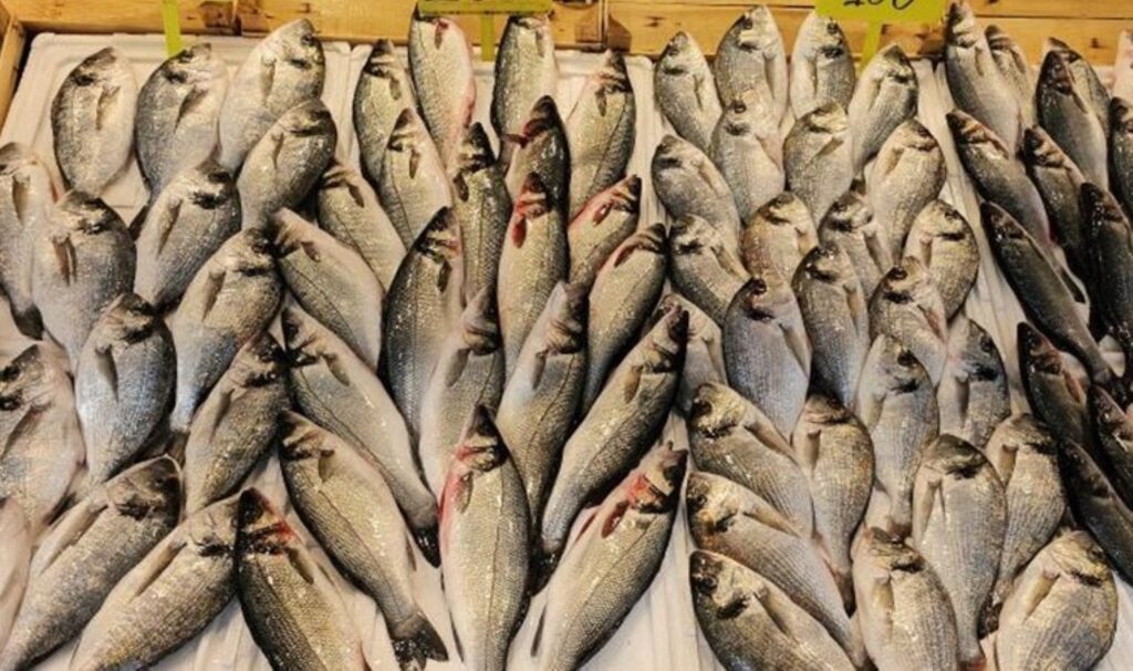 Sayısı azaldı fiyatı arttı: Kilosu 300 TL 2 sayisi azaldi fiyati artti kilosu 300 tl wOnMQijE