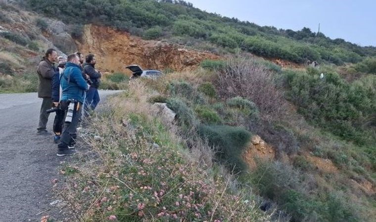 turkiyede ilk kez hatayda goruldu 499 olarak kayitlara gecti 0 n5UfLfsm