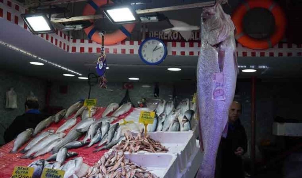 Uzun zamandır görülmemişti: Tezgaha geldikten 10 dakika sonra 6 bin TL'ye satıldı! 6 uzun zamandir gorulmemisti tezgaha geldikten 10 dakika sonra 6 bin tlye satildi ZmTPWwSu