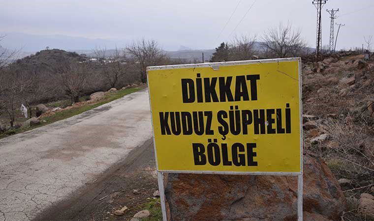 3 kisiyi isiran kopek kuduz cikti bir mahalle karantinaya alindi vc458TWB