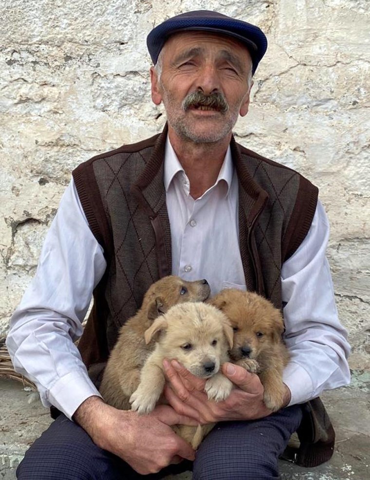 anneleri kurt saldirisinda olen yavrulara gozu gibi bakiyor 3 nIVr7b9p