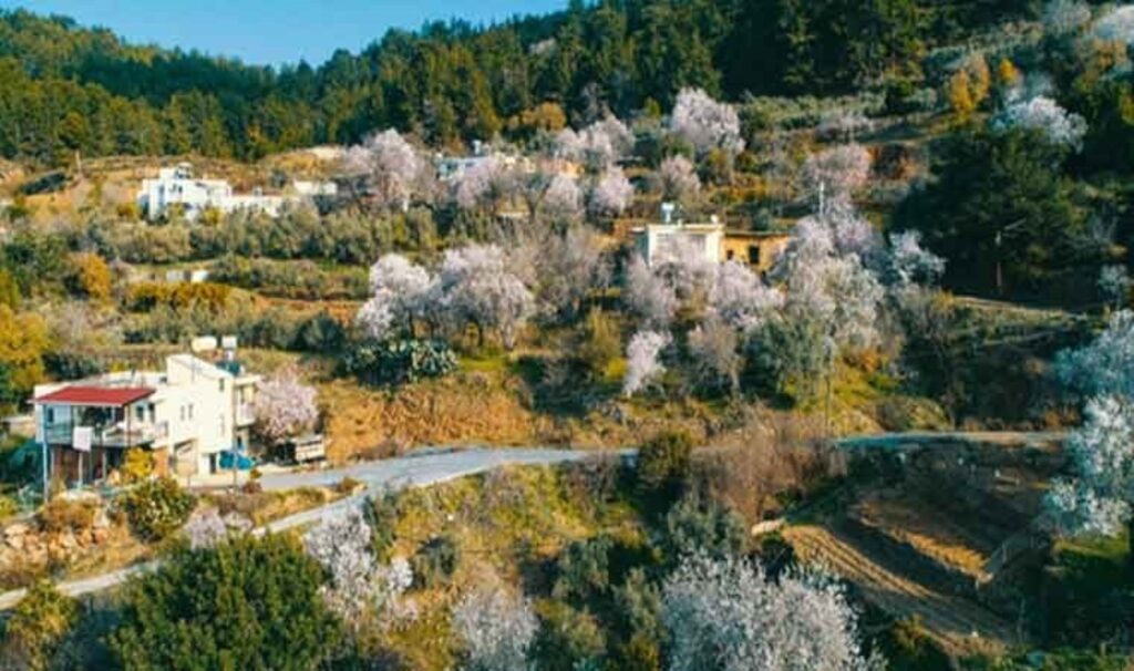 Antalya'da beklenmeyen gelişme: Üreticisi kara kara düşünüyor 1 antalyada beklenmeyen gelisme ureticisi kara kara dusunuyor g951qu92