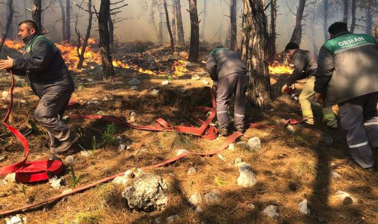 antalyada ormanlik alanda yangin ekipler sevk edildi 0 kZRRDA1K