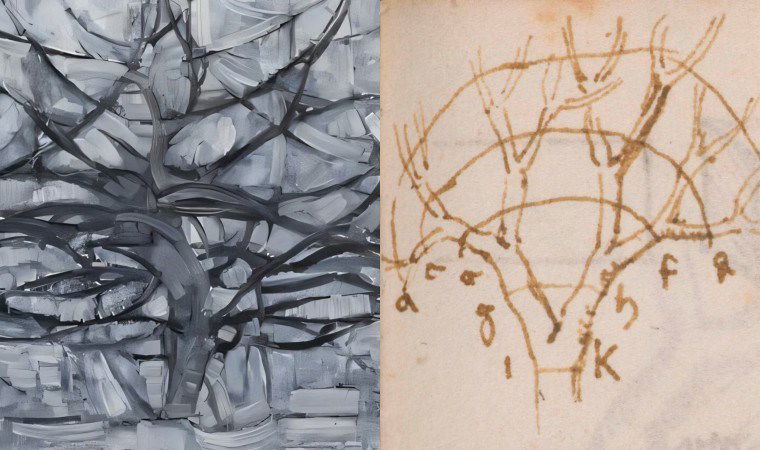 Da Vinci’nin 'ağaç sırrı' çözüldü: Sanatı, bilimle buluşturan keşif 1 da vincinin agac sirri cozuldu sanati bilimle bulusturan kesif FrIhMeNe