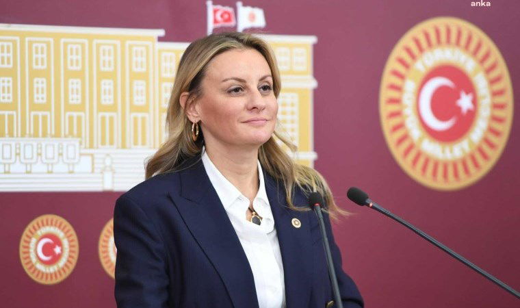 DEVA Partili Ösen: 'Vatandaş borçsuz nefes dahi alamaz halde' 1 deva partili osen vatandas borcsuz nefes dahi alamaz halde qViusE1c