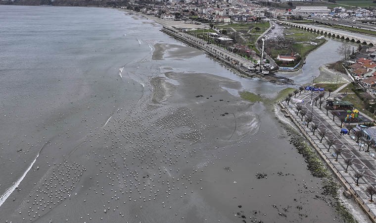 goruntuler endise yaratti istanbulda deniz suyu cekildi 0 tDD8WumP