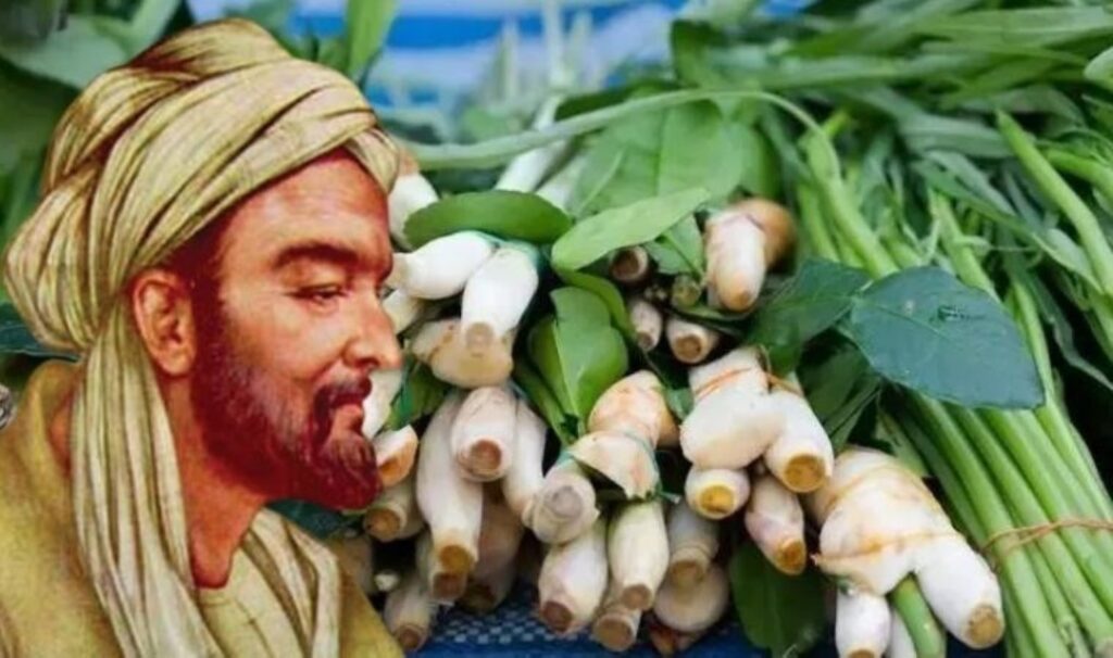 ibn i sina yuzyil once onerdi tikanik damarlari aciyor 147jEiZw