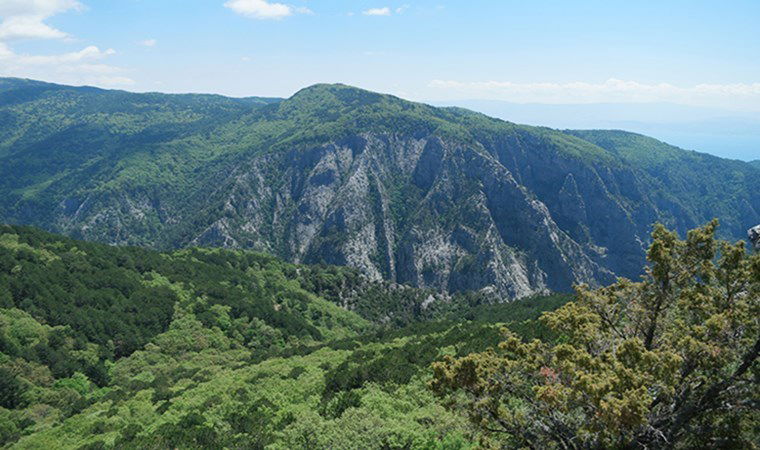 Kazdağları'nda Cengiz ve Nurol'un yıkımına 'Danıştay' onayı 1 kazdaglarinda cengiz ve nurolun yikimina danistay onayi 3IjJEeCg