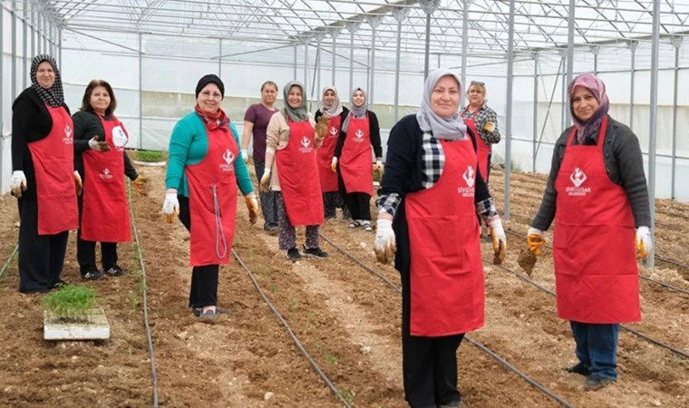Kooperatifler neden batar? 7 kooperatifler neden batar LzCOJhPQ