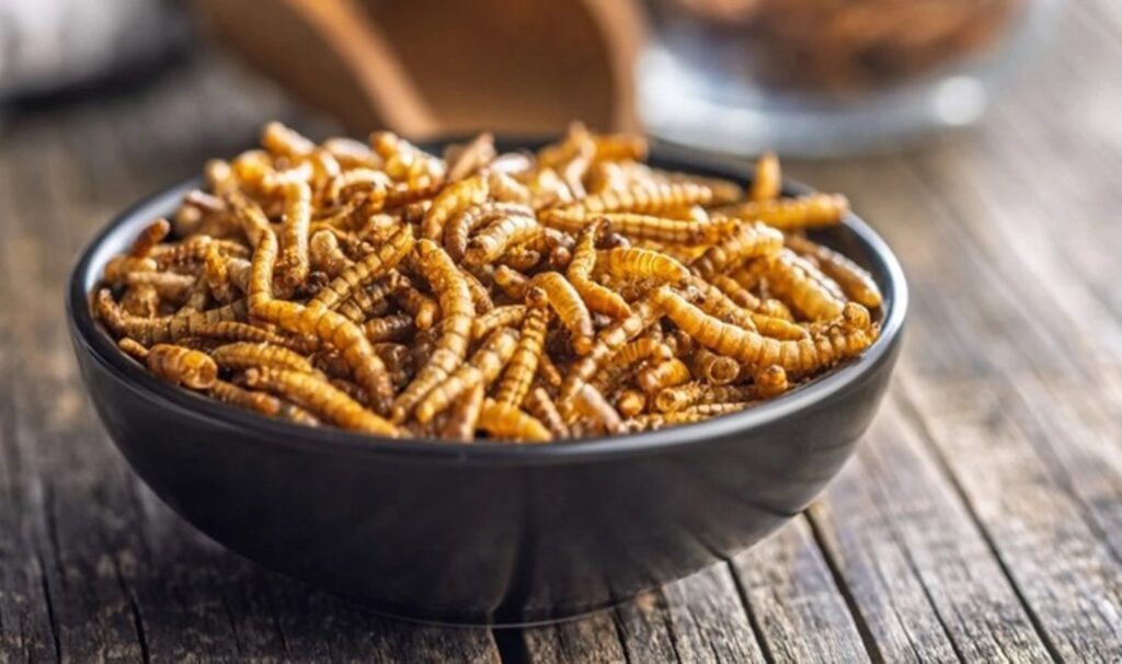 'Kurtlu' yiyeceklerin marketlerde satışına onay! O tarihten itibaren serbest: Peynir, makarna, ekmek, reçel... 2 kurtlu yiyeceklerin marketlerde satisina onay o tarihten itibaren serbest peynir makarna ekmek recel YKcLEHWa