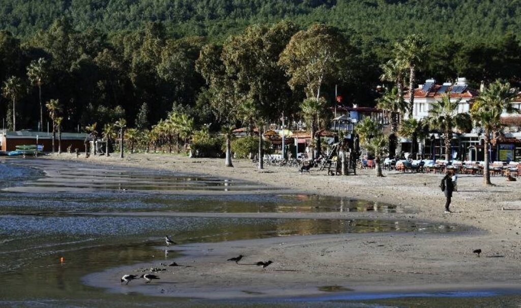 Muğla'da tedirgin eden görüntü... Deniz suyu 12 metre çekildi! 8 muglada tedirgin eden goruntu deniz suyu 12 metre cekildi wKXibp7T