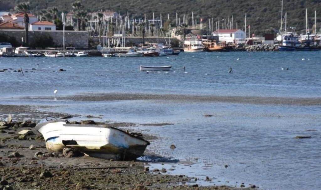 Tekneler karaya oturdu: İzmir'deki deniz çekilmesinin Ege Denizi'ndeki depremlerle ilgisi var mı? 1 tekneler karaya oturdu izmirdeki deniz cekilmesinin ege denizindeki depremlerle ilgisi var mi thlxTeNN