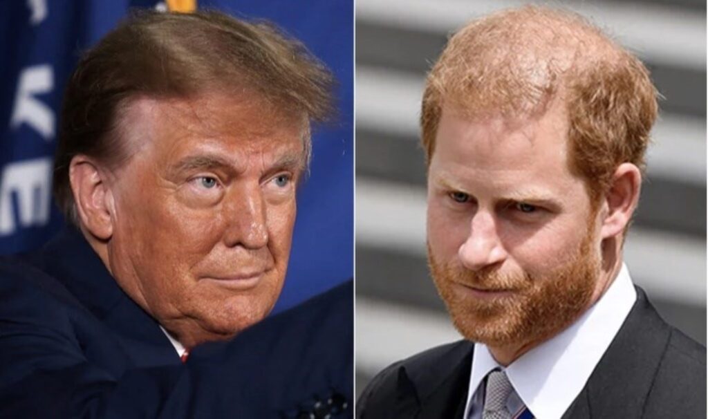 trumptan prens harry aciklamasi sinir disi edilecek mi 9iSSEOfl