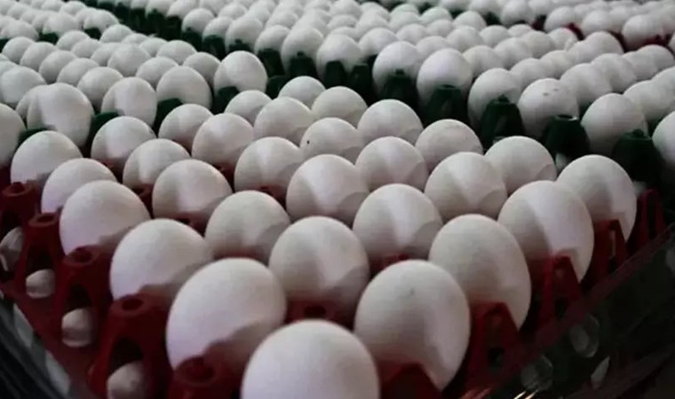 Ülkelere göre asgari ücretle gıdaya erişim: Avrupa ile Türkiye arasındaki fark şok etkisi yarattı! 8 ulkelere gore asgari ucretle gidaya erisim avrupa ile turkiye arasindaki fark sok etkisi yaratti 6NtGnr6P