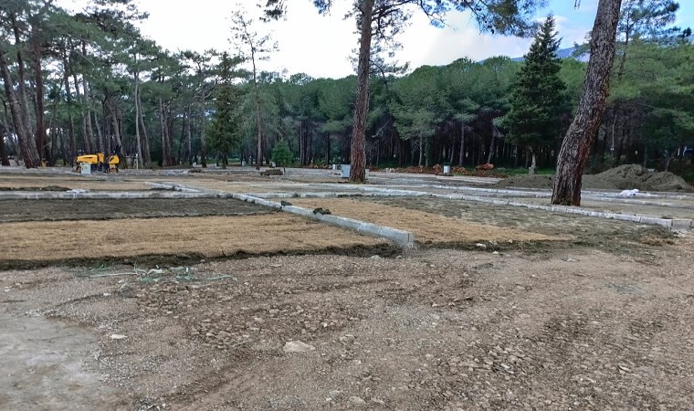 akyaka orman kampindaki agac kiyimina tepki 0 nF89mN7g
