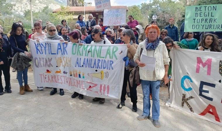 Akyaka Orman Kampı’ndaki ağaç kıyımına tepki 1 akyaka orman kampindaki agac kiyimina tepki