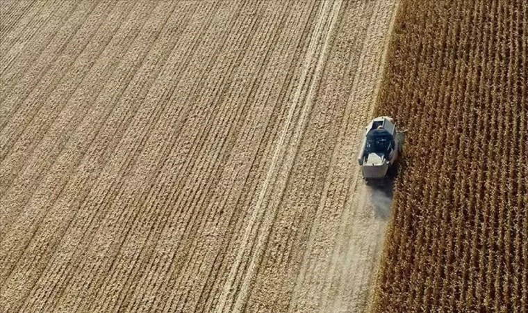 Gülek nedir? Gülek ne anlama geliyor? 3 gulek nedir gulek ne anlama geliyor SSjb3hFd