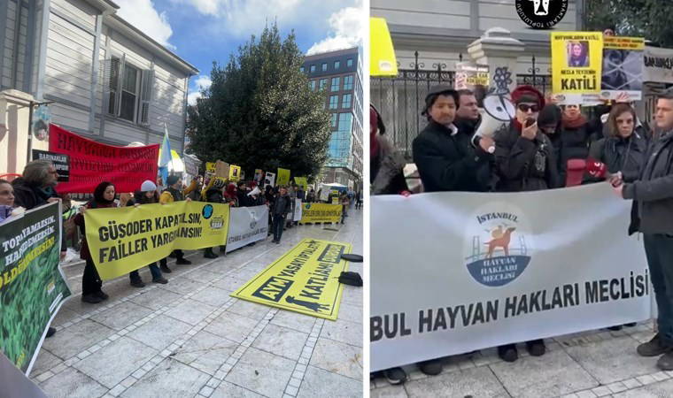 İstanbul Hayvan Hakları Meclisi, Kadıköy'de 'Necla Teyze' için toplandı: 'Baktığı canları korumak istediği için can verdi!' 2 istanbul hayvan haklari meclisi kadikoyde necla teyze icin toplandi baktigi canlari korumak istedigi icin TTkCyDm3