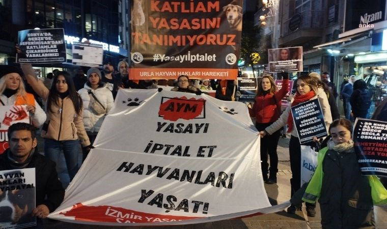 İzmir Yaşam Hakları Savunucuları'ndan ‘Necla teyze’ protestosu 1 izmir yasam haklari savunucularindan necla teyze protestosu wsYnMp3q
