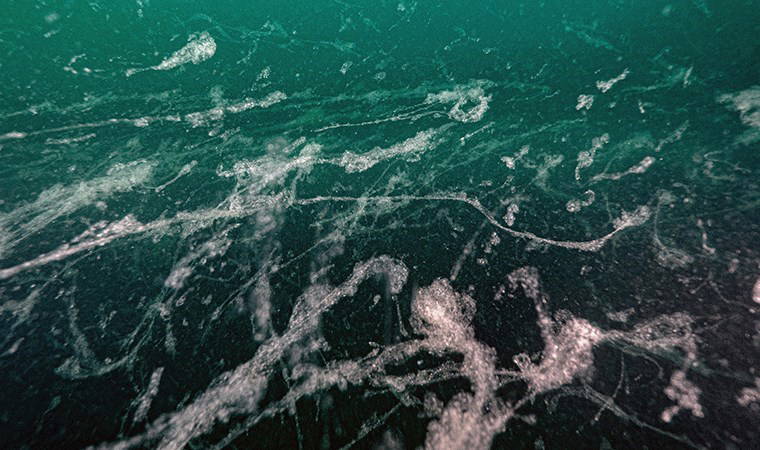 Marmara Denizi’ndeki müsilaj için ‘yüzer bitki adaları’ çözümü 1 marmara denizindeki musilaj icin yuzer bitki adalari cozumu t6ij7mrC