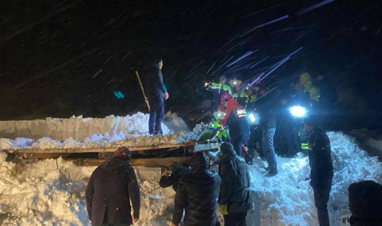 artvinde kar etkisi ahir coktu 50 kucukbas hayvan oldu Q2munyZc