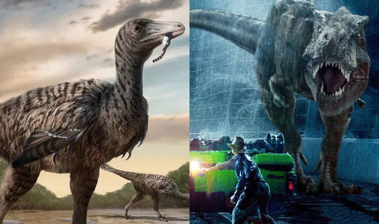 'Jurassic Park' gerçek oldu: Dinozorların hiyerarşisi yeniden yazılıyor 1 jurassic park gercek oldu dinozorlarin hiyerarsisi yeniden yaziliyor izgYruv8