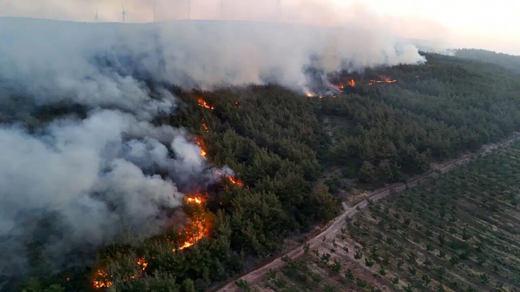 Şarköy'de başladı, yerleşim yerlerine ilerliyor! Tekirdağ ve Çanakkale'deki orman yangınlarında son durum... 2 sarkoyde basladi yerlesim yerlerine ilerliyor tekirdag ve canakkaledeki orman yanginlarinda son durum IdH6QSxN